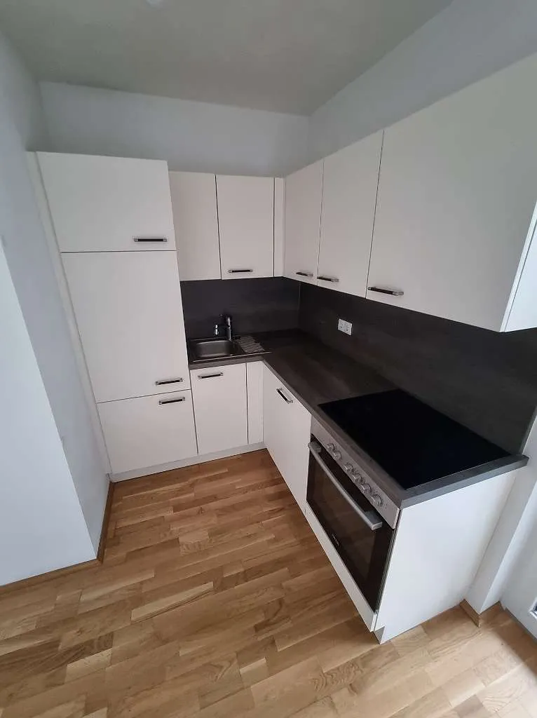 Feine 2-Zimmerwohnung mit Balkon in direkter Murnähe/ Angergasse - Jakomini - Ansicht 3