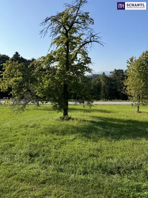 Grundstück kaufen in Graz-Umgebung – 913 m², € 260.000 – Bild 17 von 22
