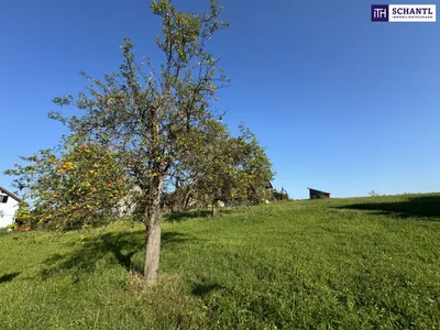 Grundstück kaufen in Graz-Umgebung – 913 m², € 260.000 – Bild 15 von 22