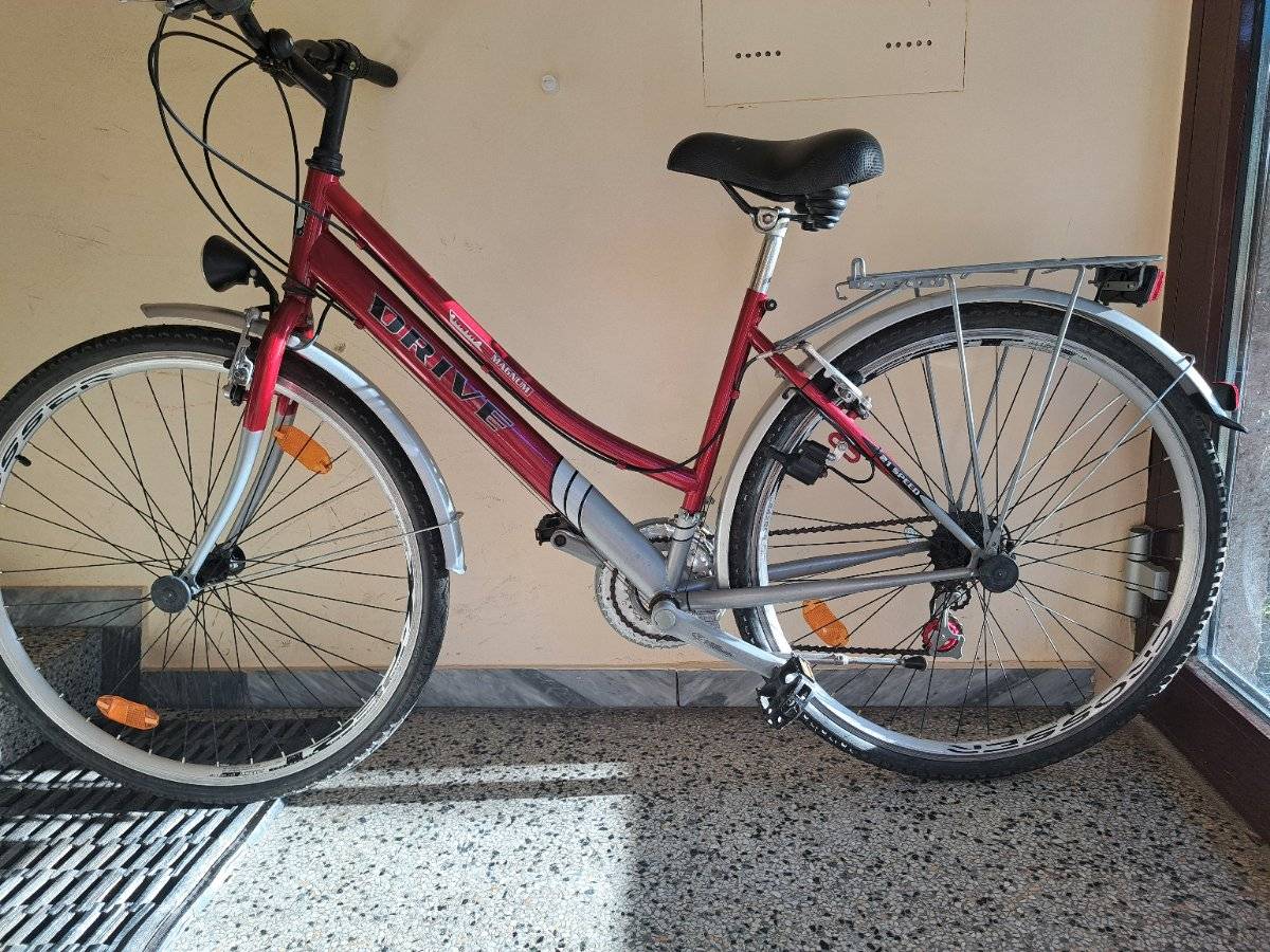 kindersitz fahrrad thule Thule Yepp Nexxt 2 Maxi Fahrrad-Kindersitz zur Gepäckträgermontage sch –  fahrrad-Ass.de main image 1