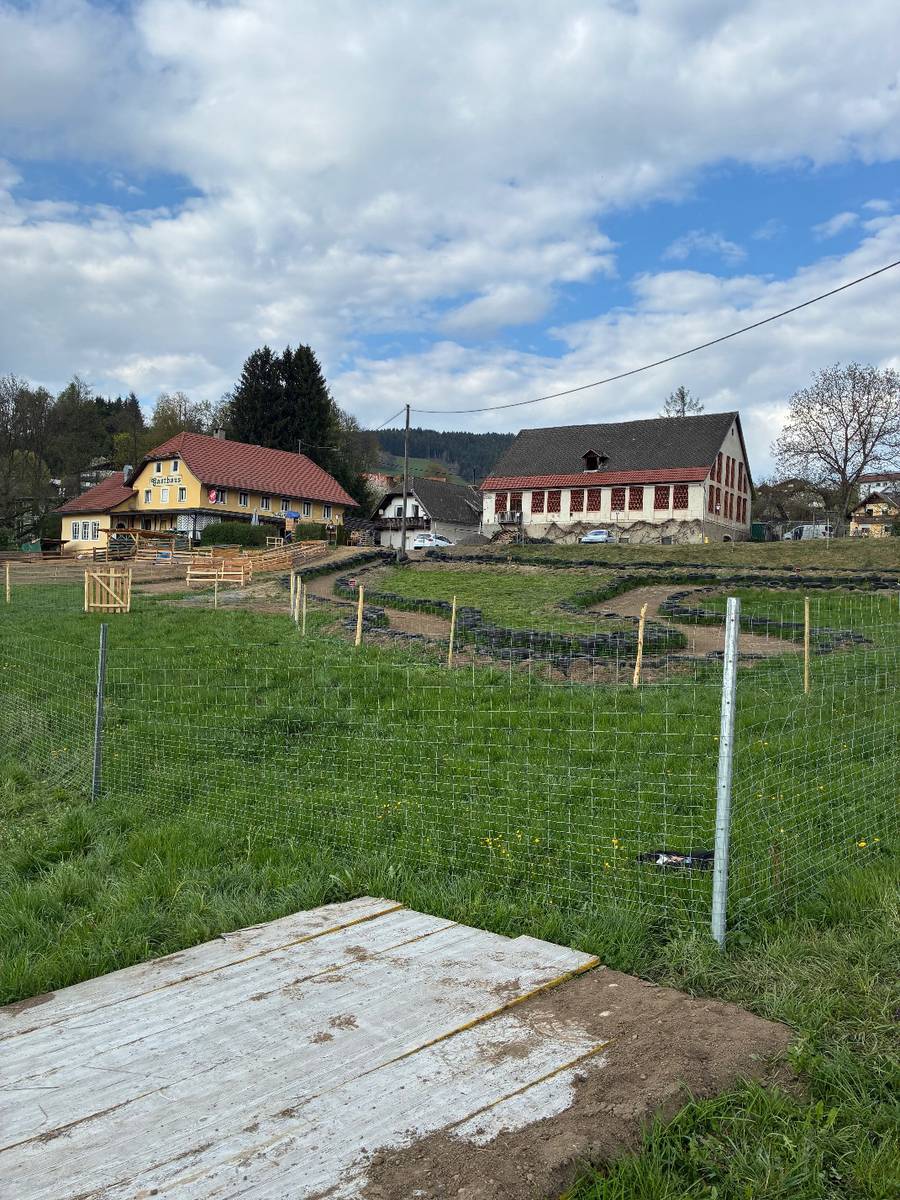 Garagen-oder Lagerplätze zu vermieten - Ansicht 3