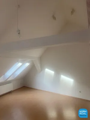 Dachgeschoss mit Terrasse für Sportler