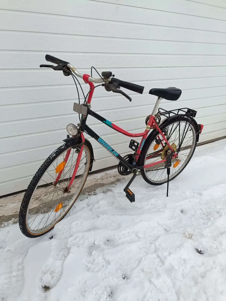 e bike fully online shop L20 3.0 as always KUGGIS Box mit Deckel, origin:customer Farbe:amarone´n´grey