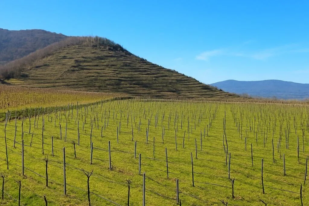 Wohnen in der Wachau: Einfamilienhaus in Ortsrandlage mit Blick ins Donautal - zu kaufen in 3610 Weißenkirchen – pohled 3