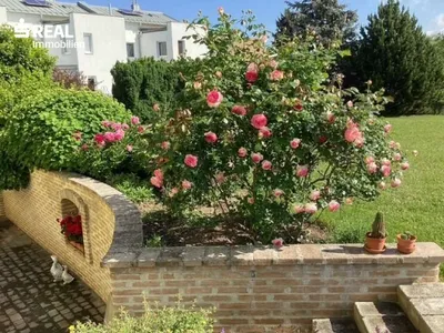 8-Zimmer-Haus kaufen in Hollabrunn – 391 m², € 790.000 – Bild 9 von 32