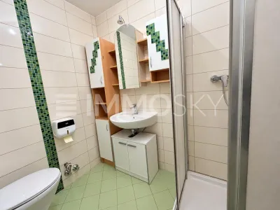 1-Zimmer-Wohnung kaufen in Salzburg Stadt – 30 m², € 189.000 – Bild 4 von 5