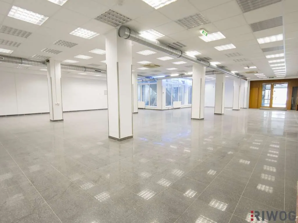 Zentrumslage | 320m² Geschäftslokal mit großen Auslagen | Kundenparkplätze vis Ü vis - Ansicht 2