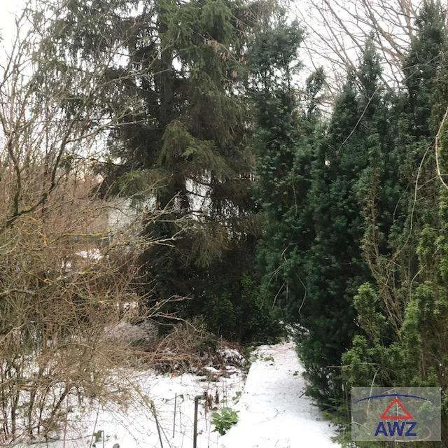 Baugrund im Wienerwald! – pohled 2