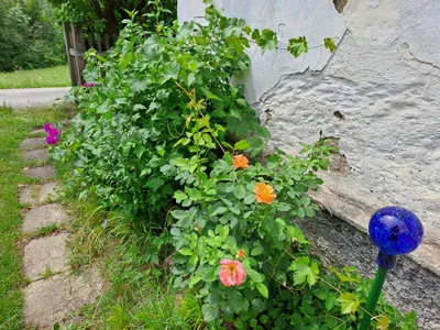 2-Zimmer-Haus kaufen in Neunkirchen – 40 m², € 140.000 – Bild 19 von 25
