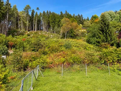 Grundstück kaufen in Spittal an der Drau – 2 978 m², € 120.000 – Bild 4 von 6