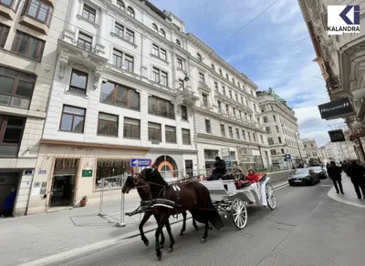 5-Zimmer-Gewerbeimmobilie mieten in Wien – 168 m², € 3.759 – Bild 11 von 12