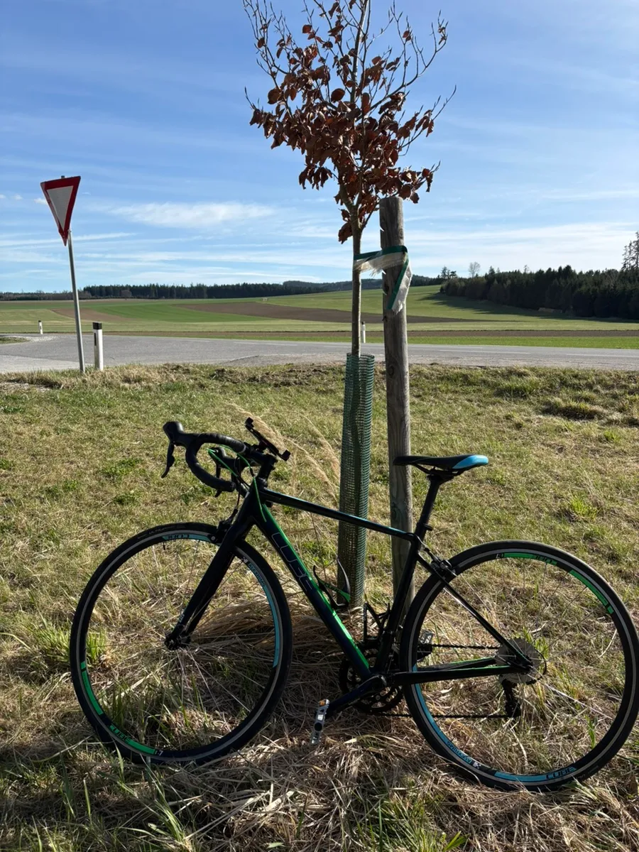 wieviel zoll hat ein damenfahrrad 28