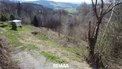 Grundstück kaufen in Wiener Neustadt Land – 2 433 m², € 122.650 – Bild 10 von 10