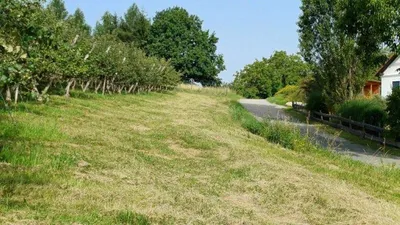 Grundstück kaufen in Jennersdorf – 14 438 m² – Bild 7 von 9