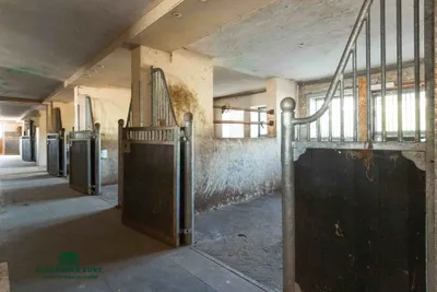 Grundstück kaufen in Salzburg-Umgebung – 20 000 m², € 2.950.000 – Bild 4 von 5
