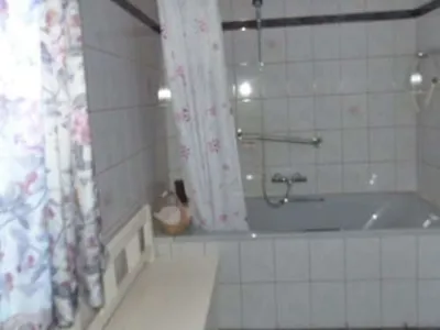 9-Zimmer-Immobilie kaufen in Lilienfeld – 346 m², € 690.000 – Bild 11 von 62