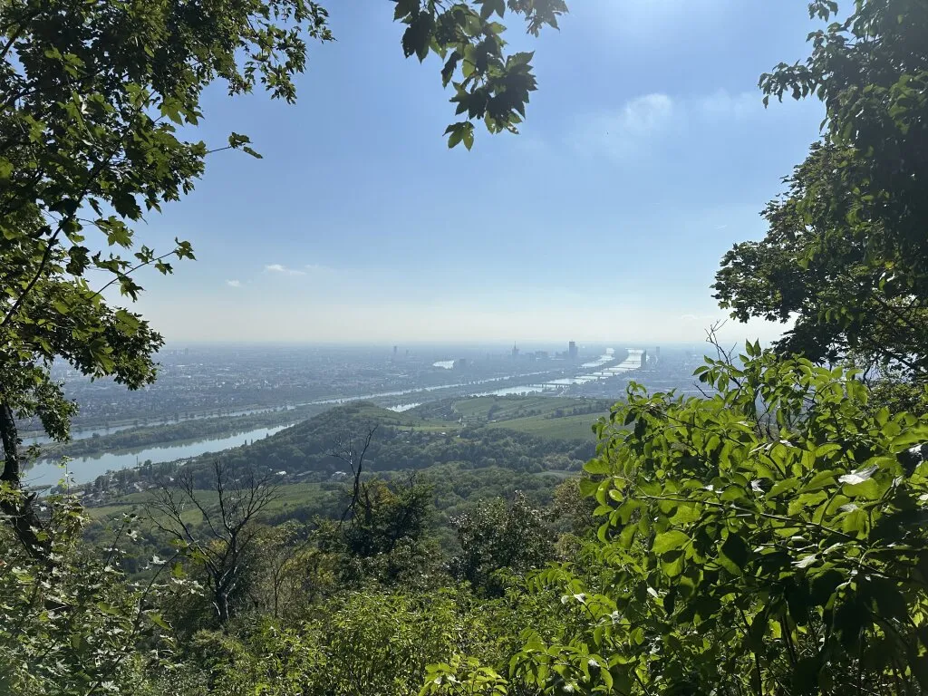 Ca. 3000 m² weitläufiges und stilvoll gestaltetes Gartenareal mit Terrassen, Pavillon und exklusiven Rückzugsbereichen - ideale Kulisse für Events, Kundentermine oder Outdoor-Inszenierungen. - Ansicht 2