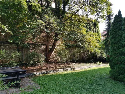 1-Zimmer-Wohnung mieten in Wien – 12 m², € 499 – Bild 15 von 15