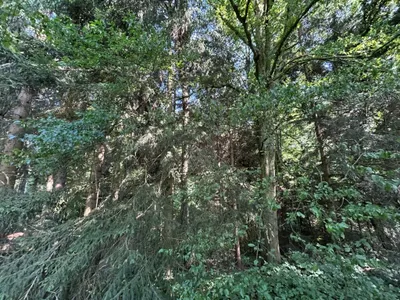 Grundstück kaufen in Sankt Pölten Land – 4 421 m², € 350.000 – Bild 6 von 15
