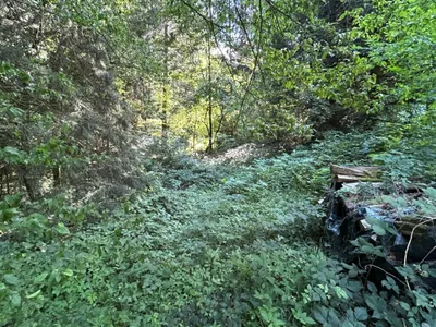 Grundstück kaufen in Sankt Pölten Land – 4 421 m², € 350.000 – Bild 5 von 15