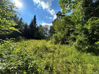 Grundstück kaufen in Sankt Pölten Land – 4 421 m², € 350.000 – Bild 3 von 15