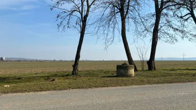 1-Zimmer-Immobilie kaufen in Hollabrunn – 50 m², € 29.000 – Bild 4 von 10