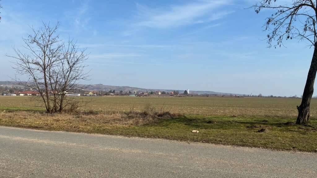 Steck dir deine Sorgen an den Hut im eigenen Presshaus - Ansicht 3