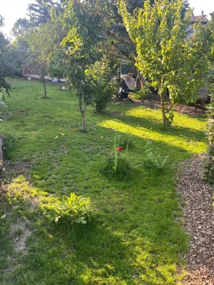 Haus kaufen in Mistelbach – 105 m², € 325.000 – Bild 7 von 24