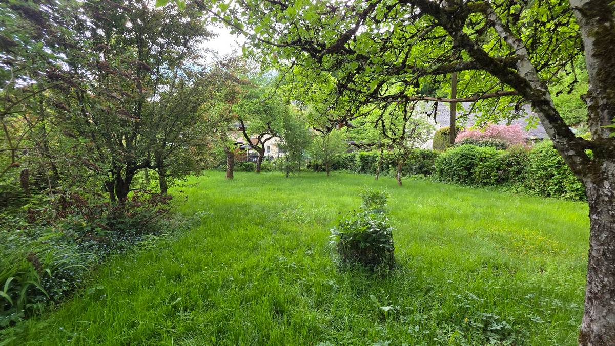 Ruhiges Baugrundstück mit Altbestand in Grödig - Ansicht 2