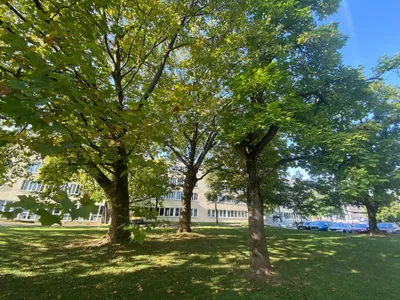 Gewerbeimmobilie mieten in Linz – 248 m², € 2.742 – Bild 15 von 16