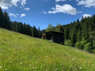 5-Zimmer-Haus kaufen in Voitsberg – 150 m², € 285.000 – Bild 4 von 24