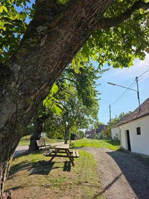 Immobilie kaufen in Mistelbach – 25 m² – Bild 9 von 12