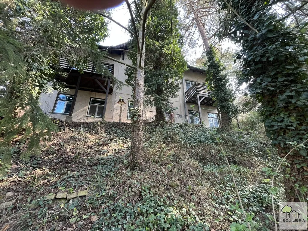 Großzügiges Baugrundstück 1421m² mit Altbestand in Klosterneuburg - Ihr Traum vom Eigenheim! - Widok 3