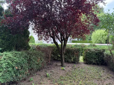 Wohnung mieten in Klagenfurt – 83 m², € 1.100 – Bild 4 von 11