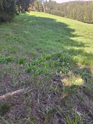 Grundstück kaufen in Murtal – 1 138 m², € 79 – Bild 12 von 15