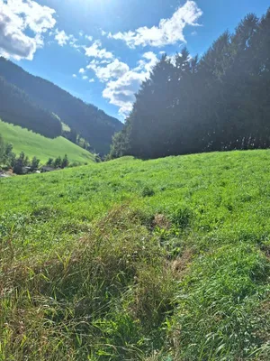 Grundstück kaufen in Murtal – 1 138 m², € 79 – Bild 4 von 15