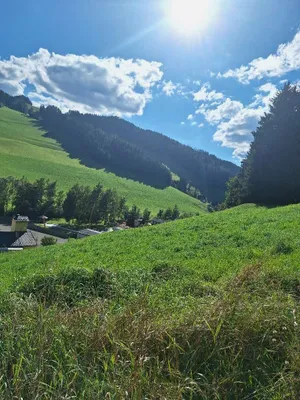 Grundstück kaufen in Murtal – 1 138 m², € 79 – Bild 5 von 15
