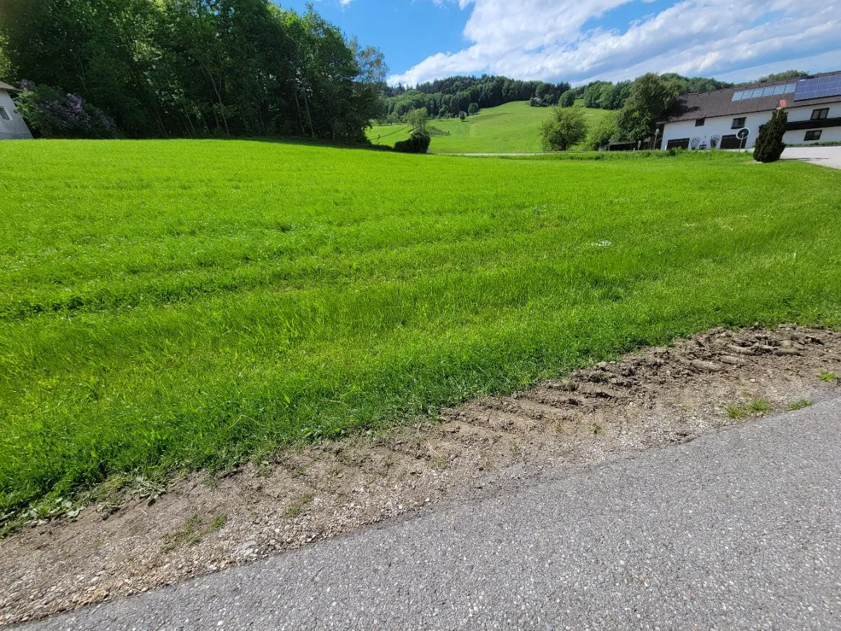 Baugrundstück - Ansicht 3