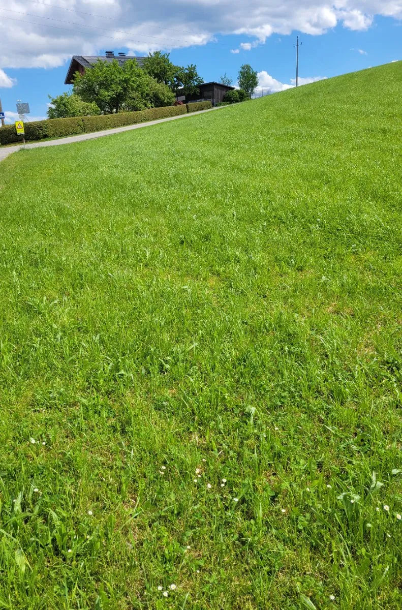 Baugrundstück