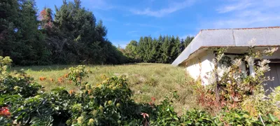 Grundstück kaufen in Graz-Umgebung – 4 000 m², € 740.000 – Bild 16 von 27