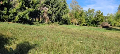 Grundstück kaufen in Graz-Umgebung – 4 000 m², € 740.000 – Bild 23 von 27