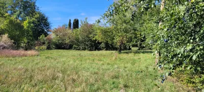 Grundstück kaufen in Graz-Umgebung – 4 000 m², € 740.000 – Bild 6 von 27