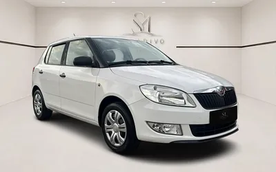 Skoda Fabia 1,2 TSI Ambition+ *TOP-ZUSTAND*