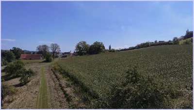 Grundstück kaufen in Südoststeiermark – 3 000 m², € 100 – Bild 3 von 6