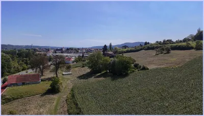 Grundstück kaufen in Südoststeiermark – 3 000 m², € 100 – Bild 2 von 6