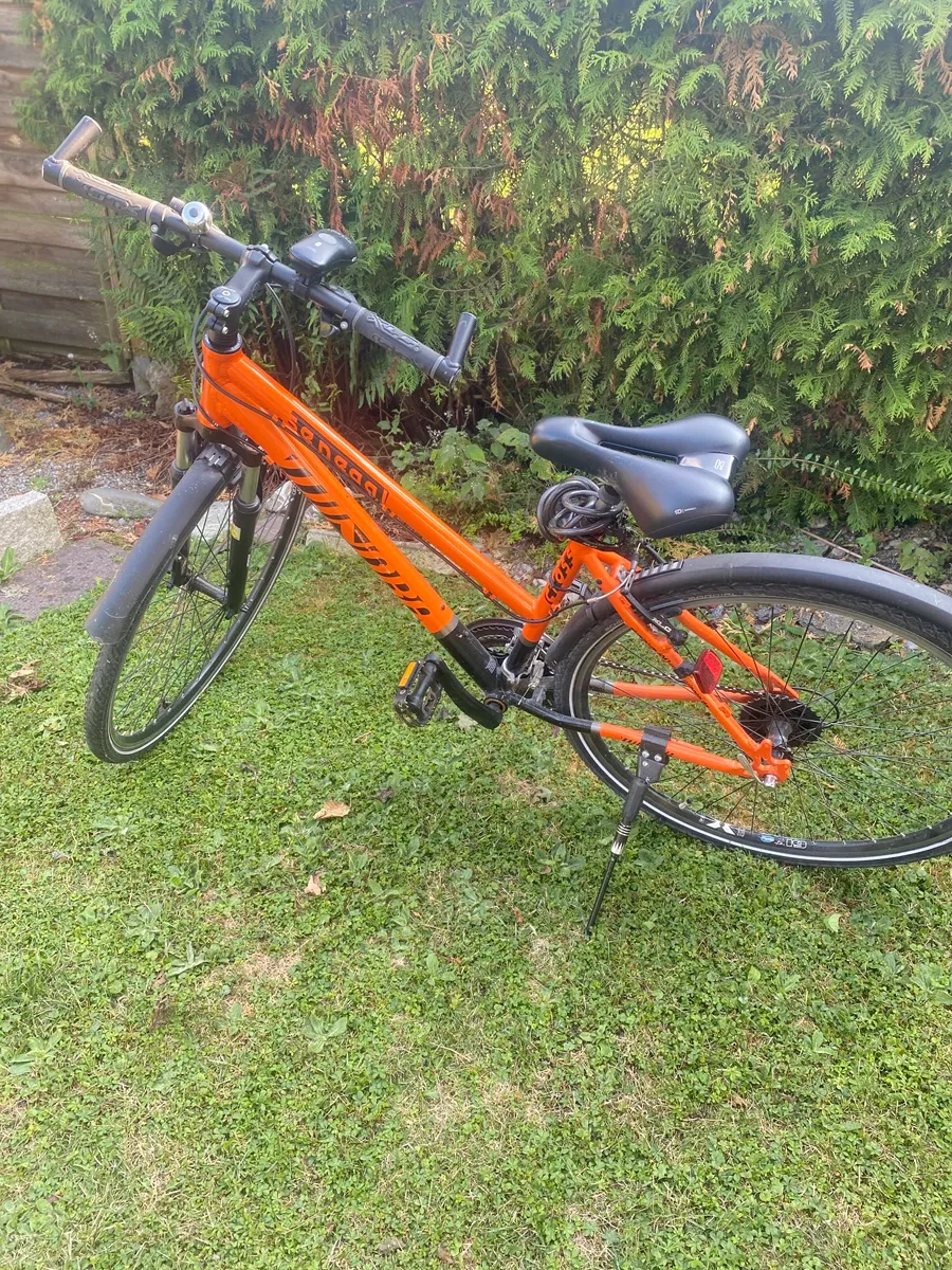 aldi nord klapprad Fischer E-Bike Agilo 2.0 Elektrofahrrad für Damen und Herren, RH 36 cm, Hinterrradmotor 25 Nm, 36 V Akku im Rahmen, schwarz matt, 20 Zoll Sport & Freizeit Color:Midnight Shade O'neal 5 Series Polyacrylite UV Gele