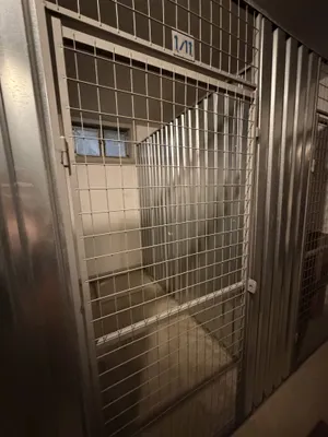 2-Zimmer-Wohnung kaufen in Wien – 61,69 m², € 319.900 – Bild 27 von 28