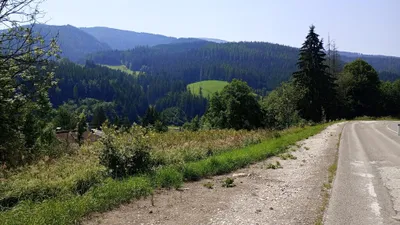 Grundstück kaufen in Bruck-Mürzzuschlag – 5 684 m², € 20.500 – Bild 3 von 5