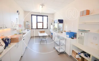 Immobilie kaufen in Gänserndorf – 1 928 m², € 1.800.000 – Bild 10 von 45