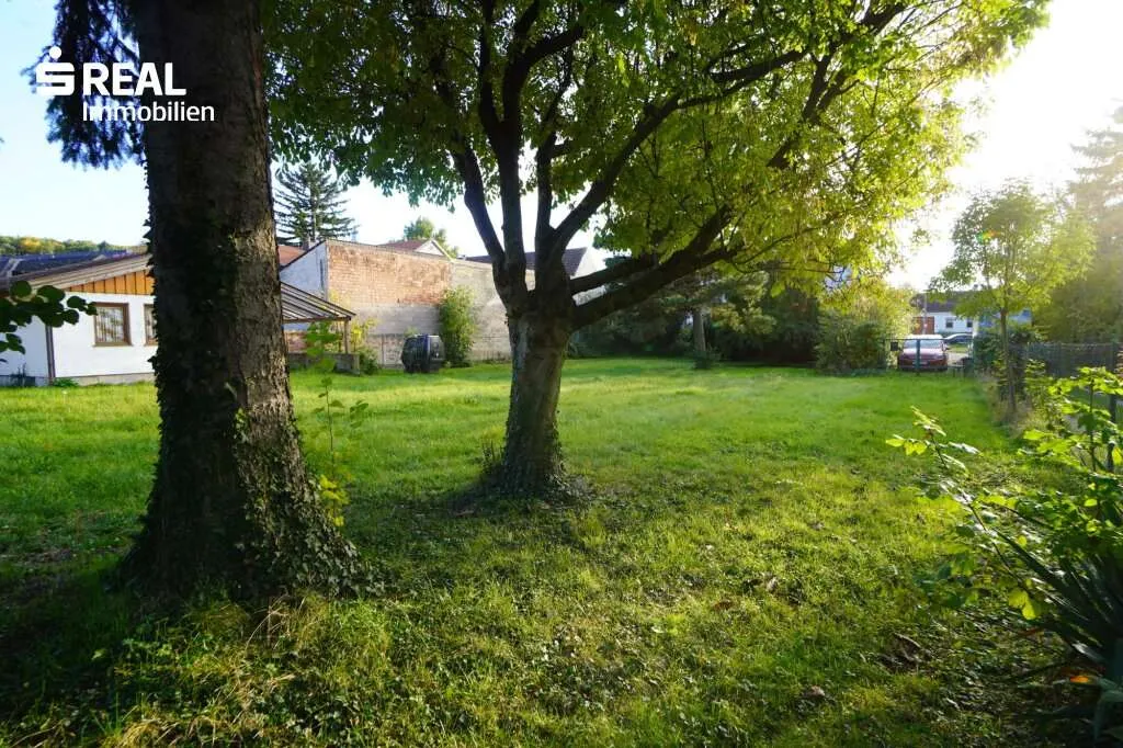 Bauträger aufgepasst da bis zu 4 Wohneinheiten möglich - Ansicht 2